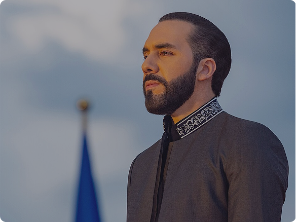 Solution Professional